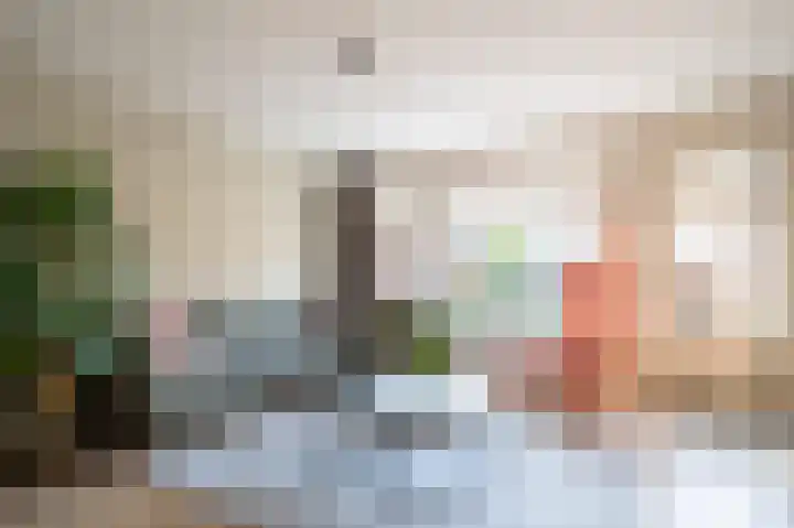 Lijsterbeshof 65 Papendrecht thumbnail 8