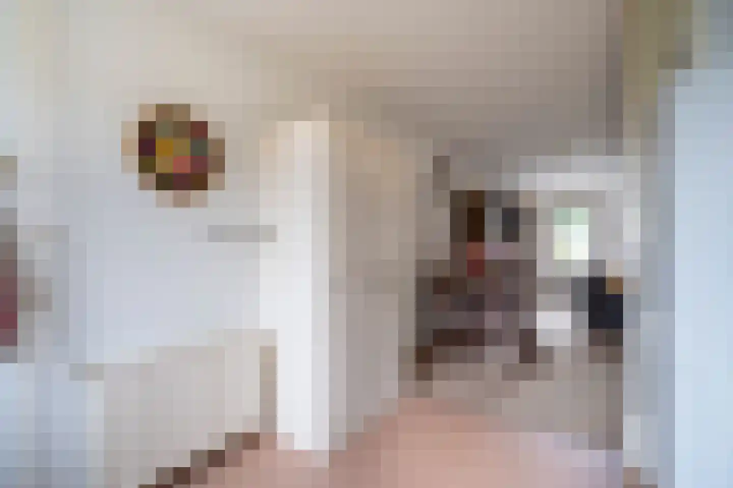 Lijsterbeshof 66 Papendrecht thumbnail 11