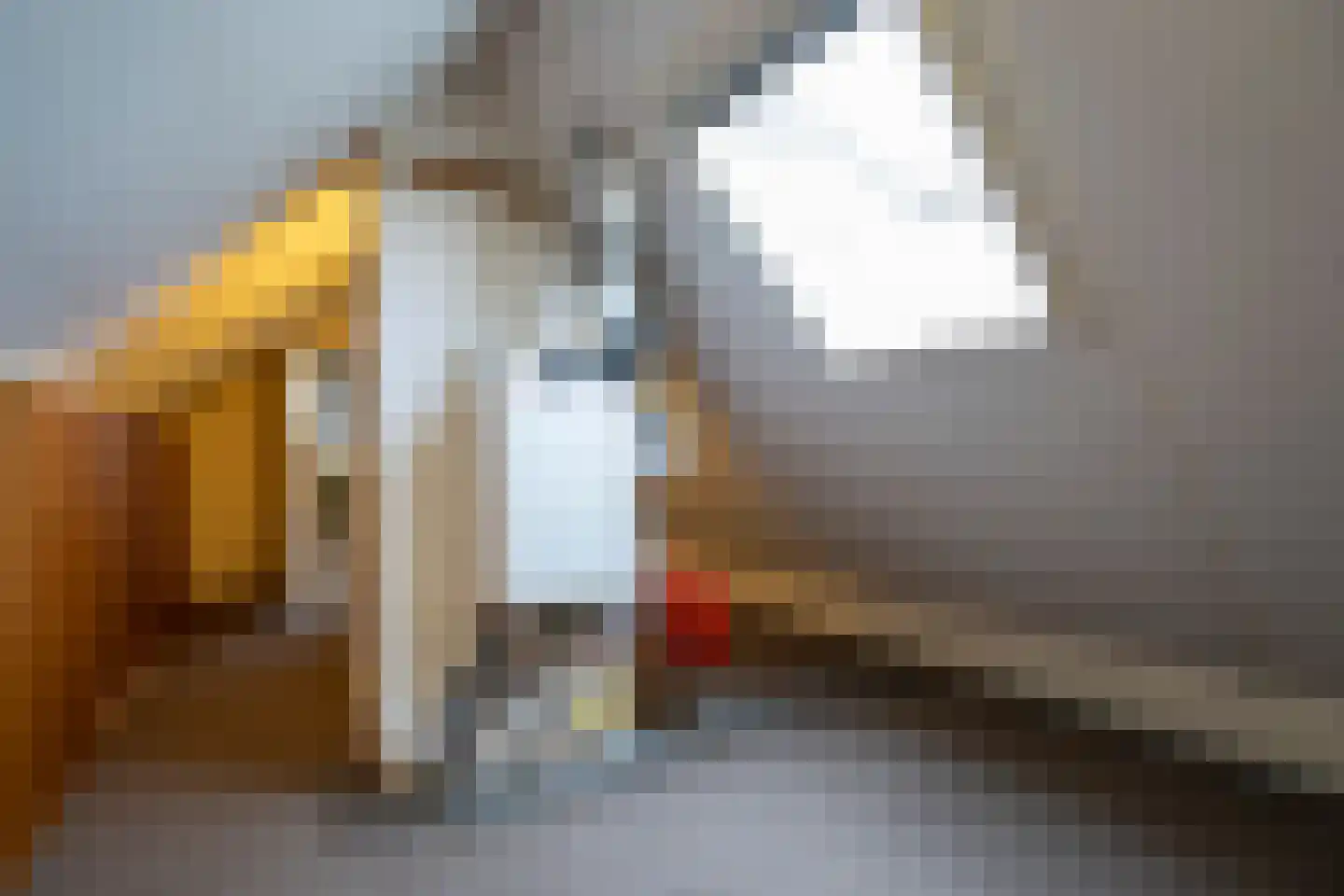 Lijsterbeshof 66 Papendrecht thumbnail 25