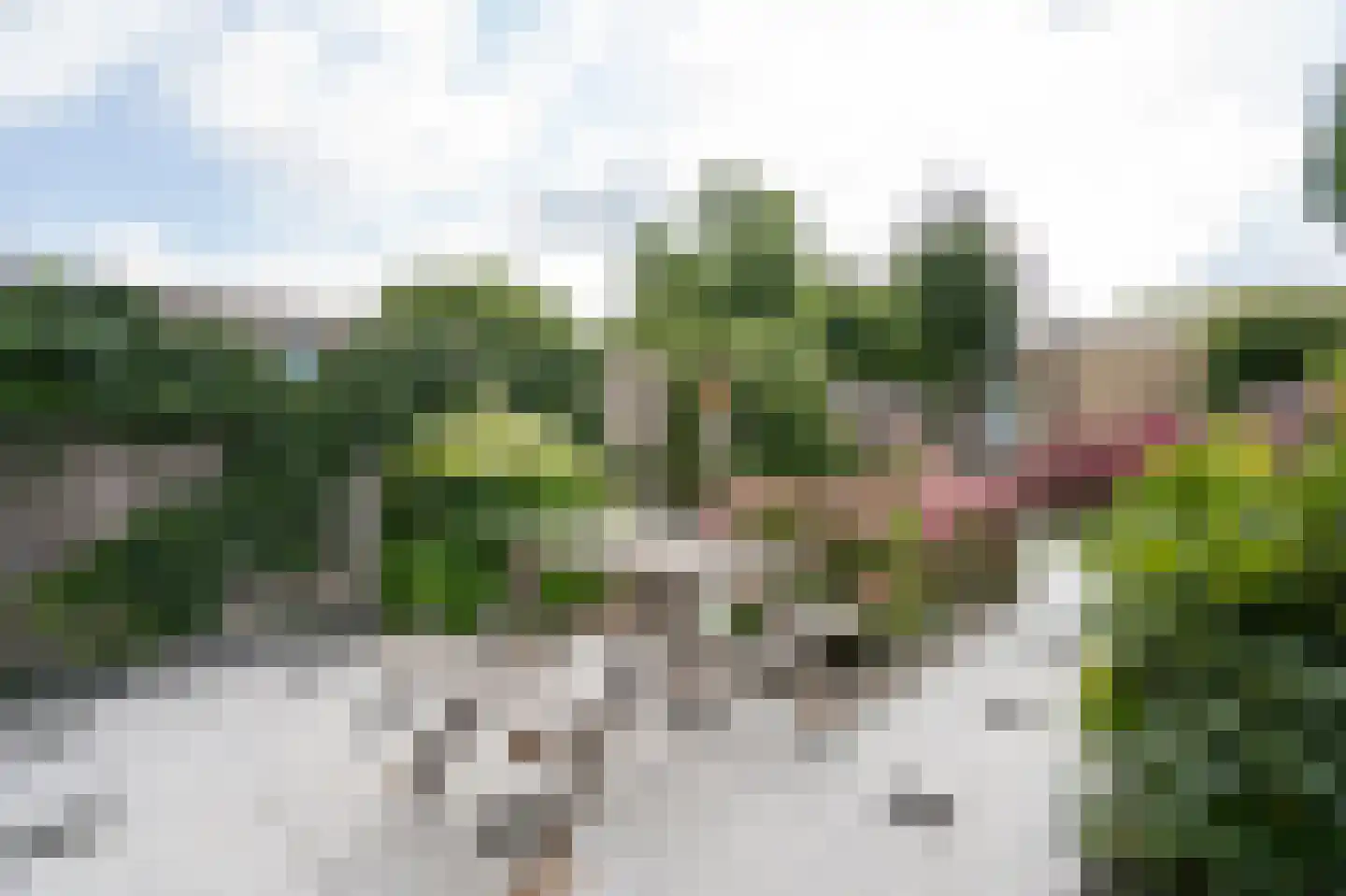 Lijsterbeshof 66 Papendrecht thumbnail 29