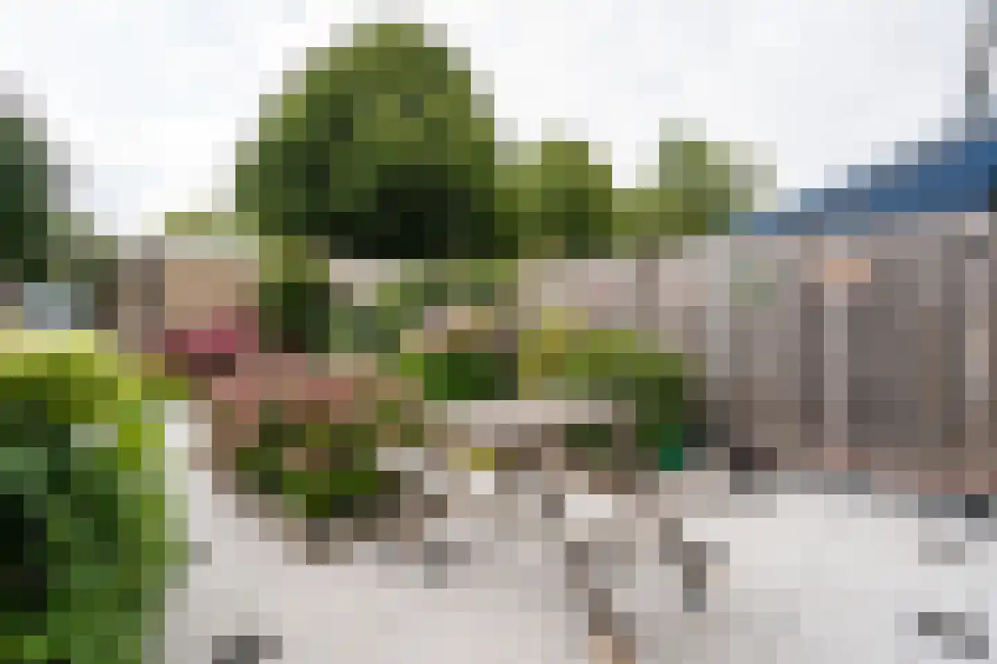 Lijsterbeshof 66 Papendrecht thumbnail 30