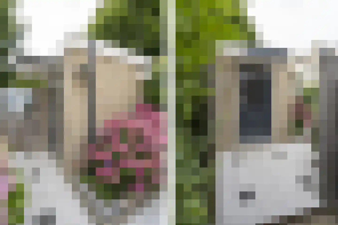 Lijsterbeshof 66 Papendrecht thumbnail 32