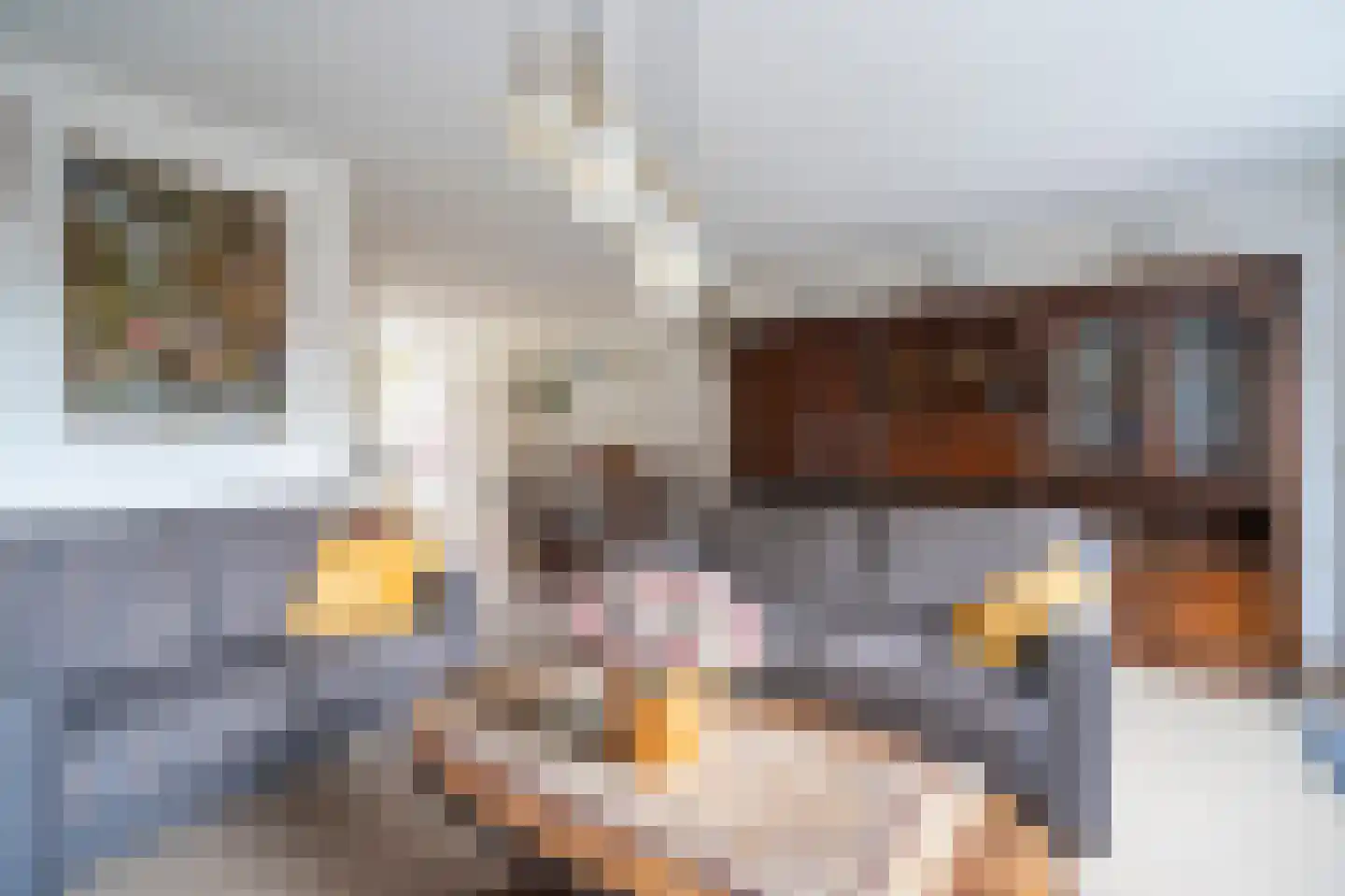 Lijsterbeshof 66 Papendrecht thumbnail 7