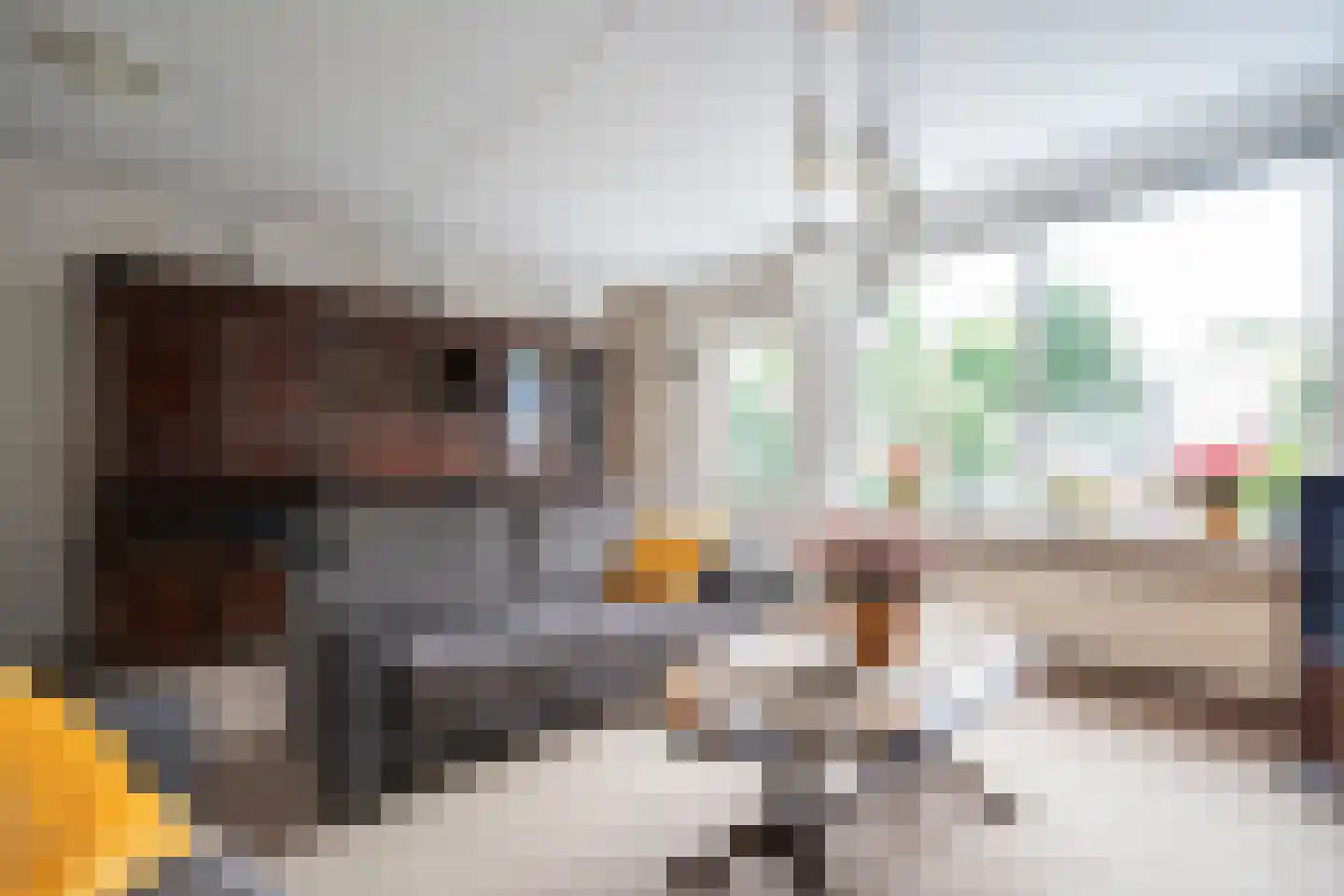Lijsterbeshof 66 Papendrecht thumbnail 8
