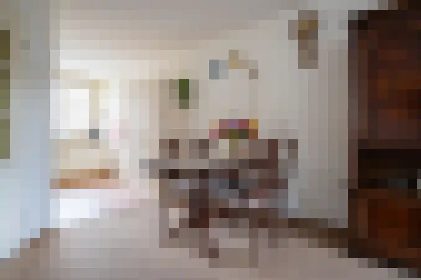 Lijsterbeshof 66 Papendrecht thumbnail 9