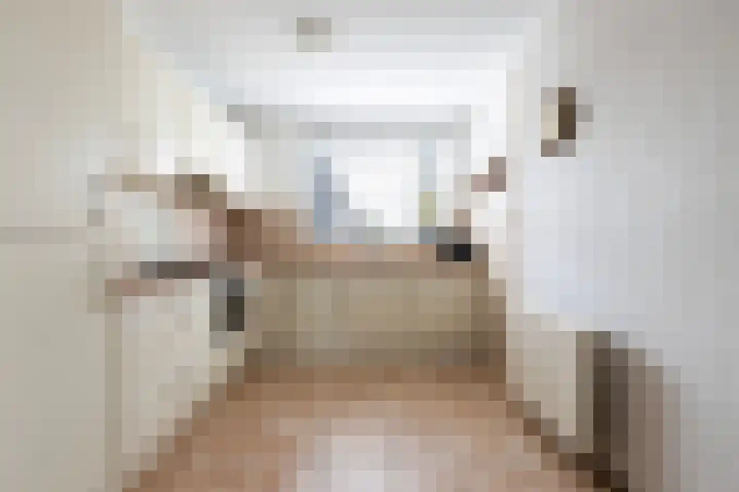 Lijsterbeshof 74 Papendrecht thumbnail 11