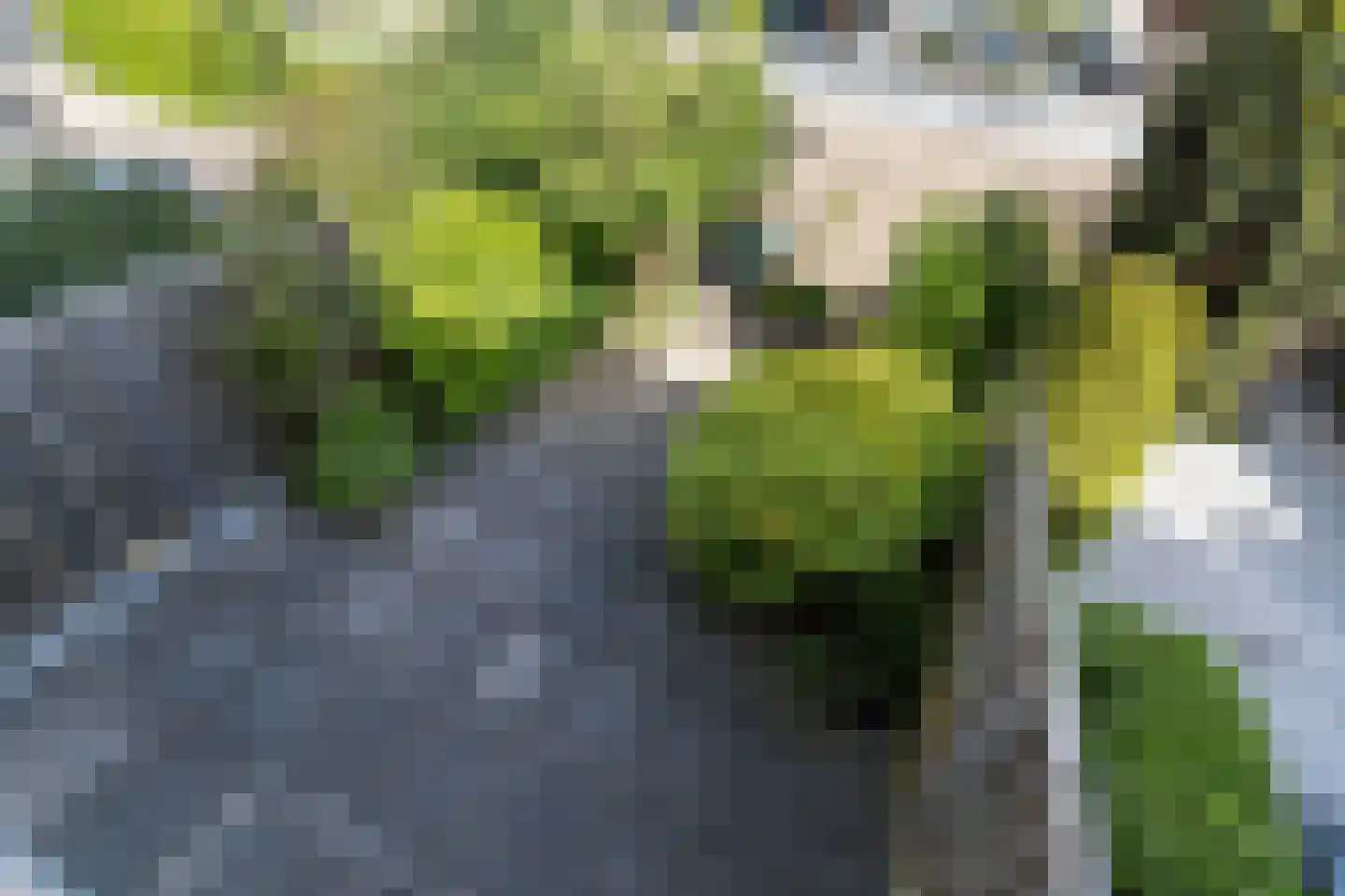 Lijsterbeshof 74 Papendrecht thumbnail 18