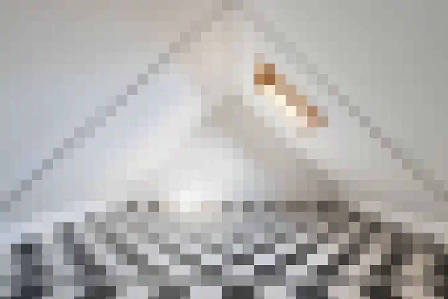Lijsterbeshof 74 Papendrecht thumbnail 20