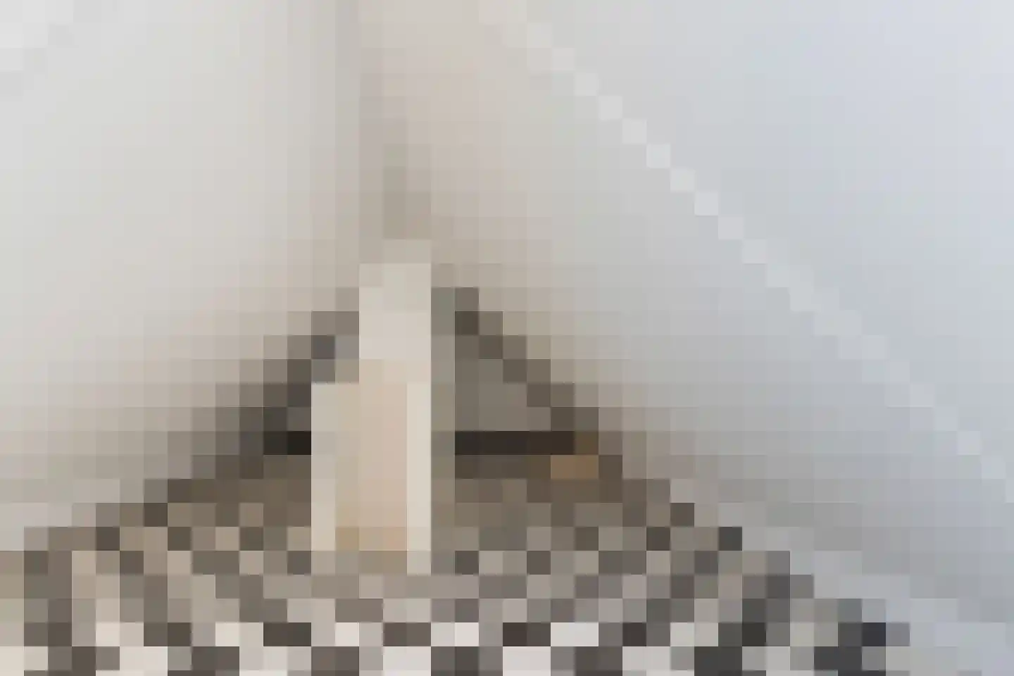 Lijsterbeshof 74 Papendrecht thumbnail 21