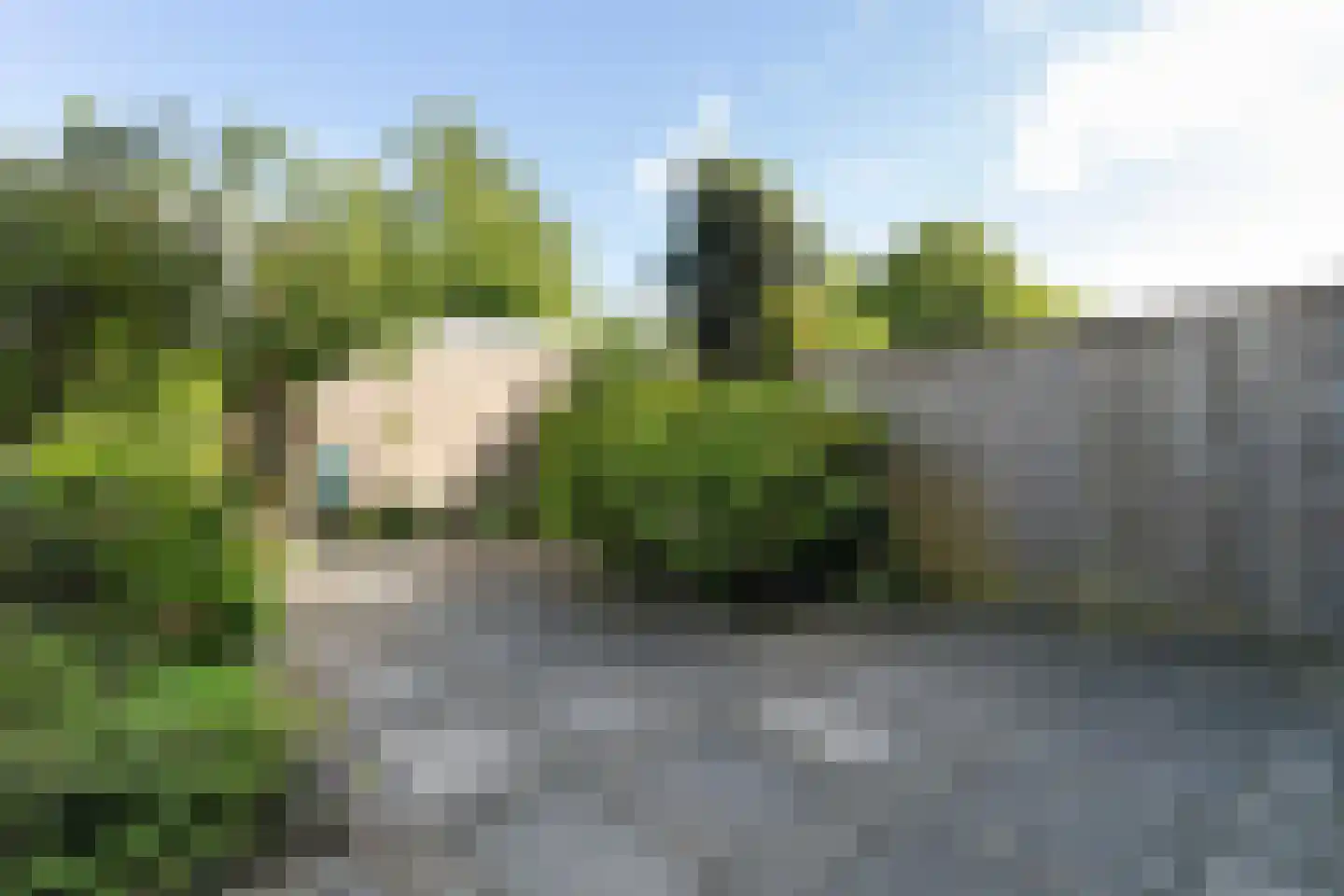 Lijsterbeshof 74 Papendrecht thumbnail 22