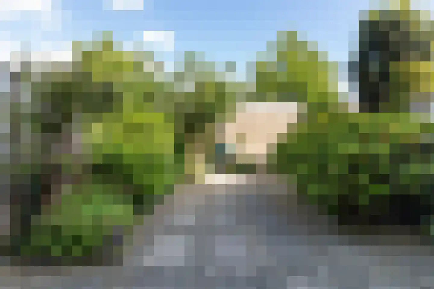 Lijsterbeshof 74 Papendrecht thumbnail 23