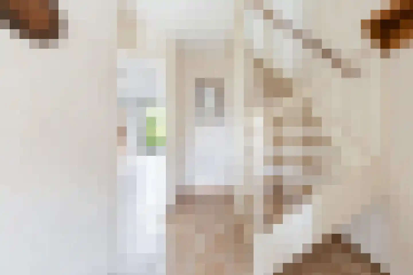 Lijsterbeshof 74 Papendrecht thumbnail 4