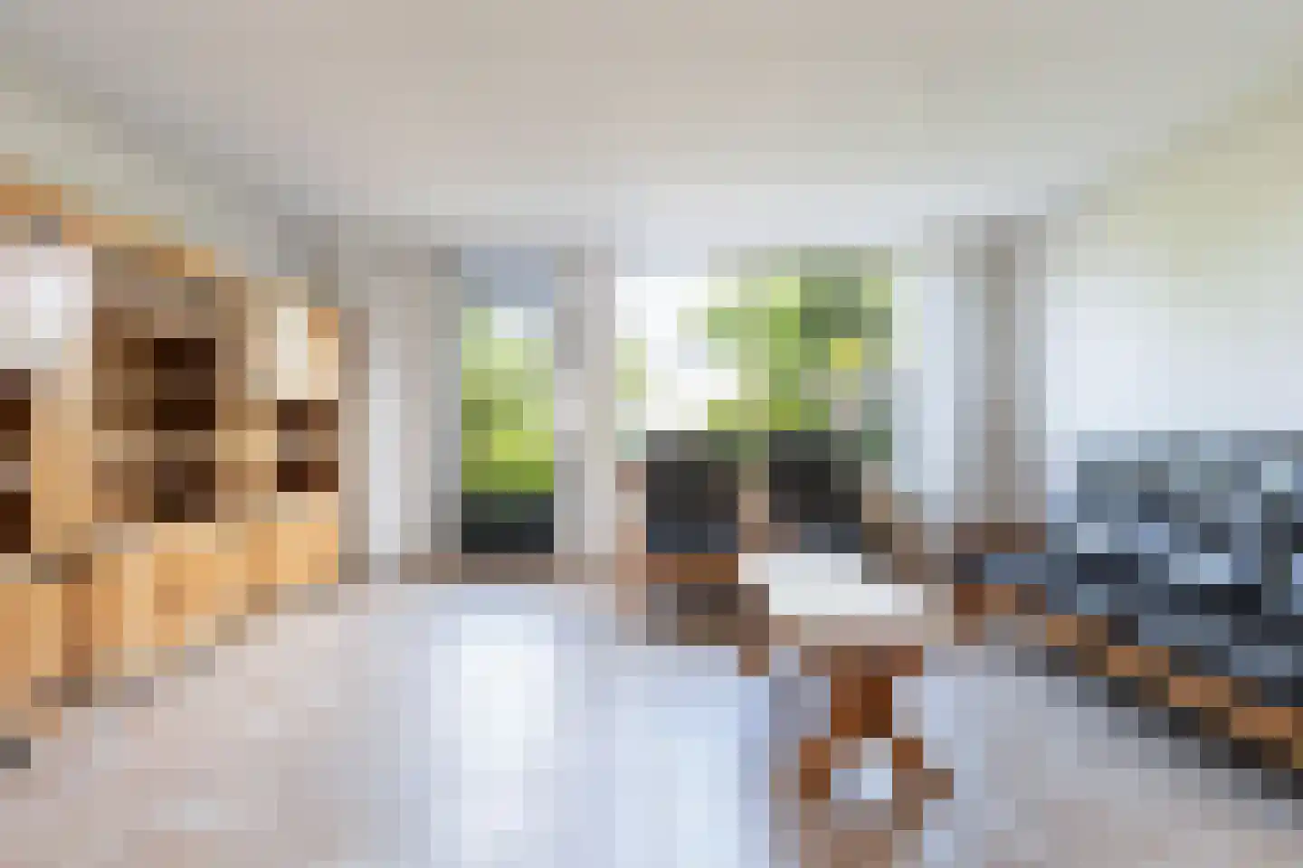 Lijsterbeshof 74 Papendrecht thumbnail 6