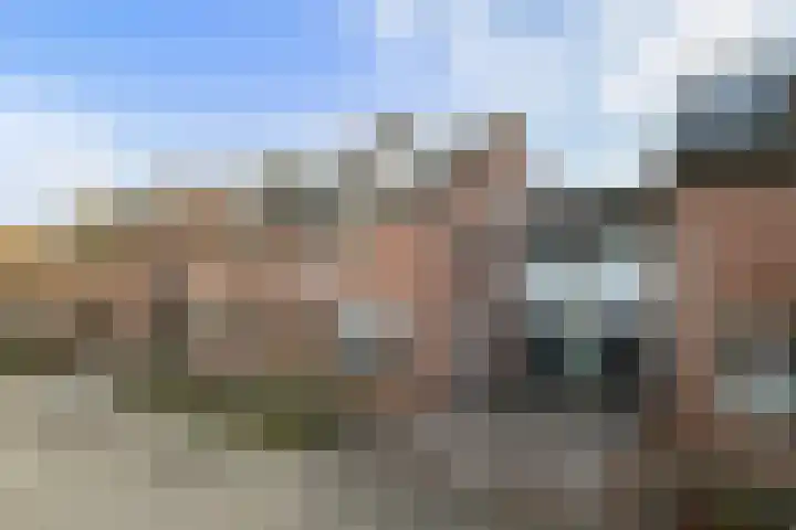 Lijsterbeshof 79 Papendrecht