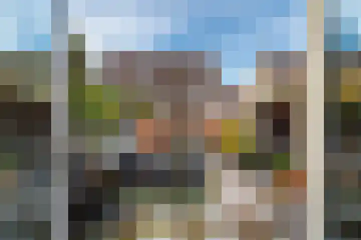 Lijsterbeshof 79 Papendrecht thumbnail 22
