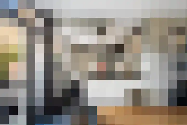 Lijsterbeshof 79 Papendrecht thumbnail 23