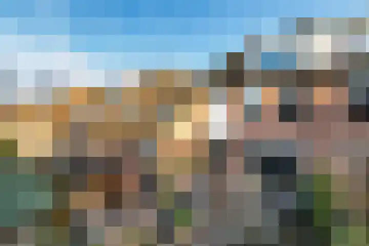 Lijsterbeshof 79 Papendrecht thumbnail 4