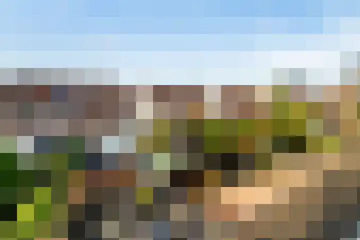 Lijsterbeshof 79 Papendrecht thumbnail 59