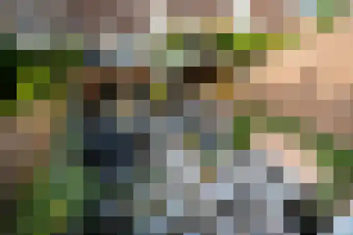 Lijsterbeshof 79 Papendrecht thumbnail 60