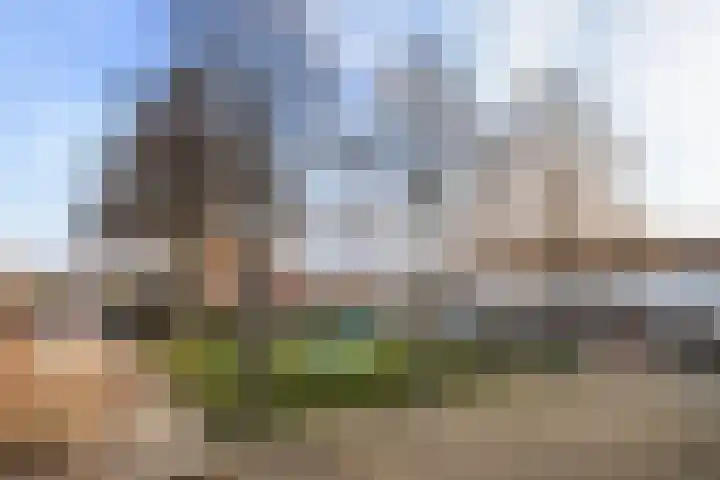 Lijsterbeshof 79 Papendrecht thumbnail 62
