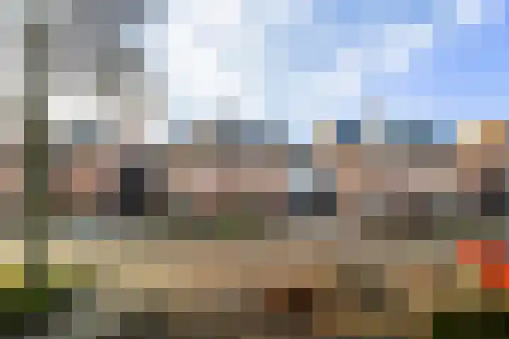 Lijsterbeshof 79 Papendrecht thumbnail 63
