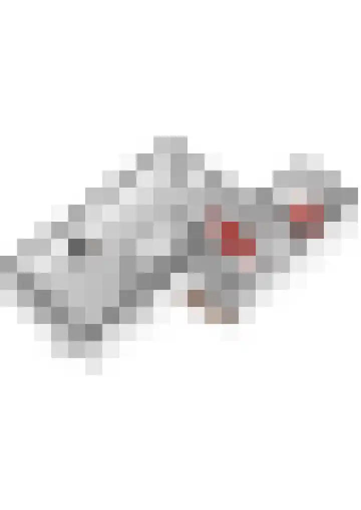 Lijsterbeshof 79 Papendrecht thumbnail 65