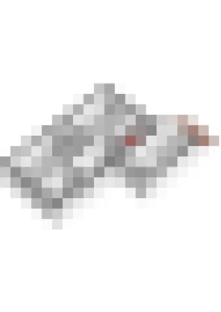 Lijsterbeshof 79 Papendrecht thumbnail 66
