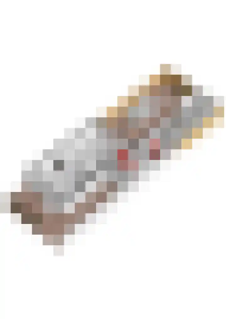 Lijsterbeshof 79 Papendrecht thumbnail 69