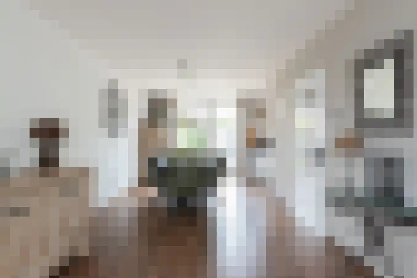 Lijsterbeshof 83 Papendrecht thumbnail 10