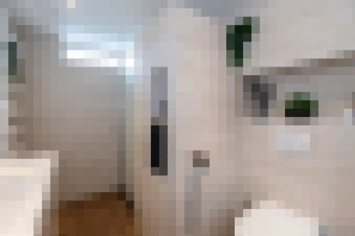Lijsterbeshof 83 Papendrecht thumbnail 21