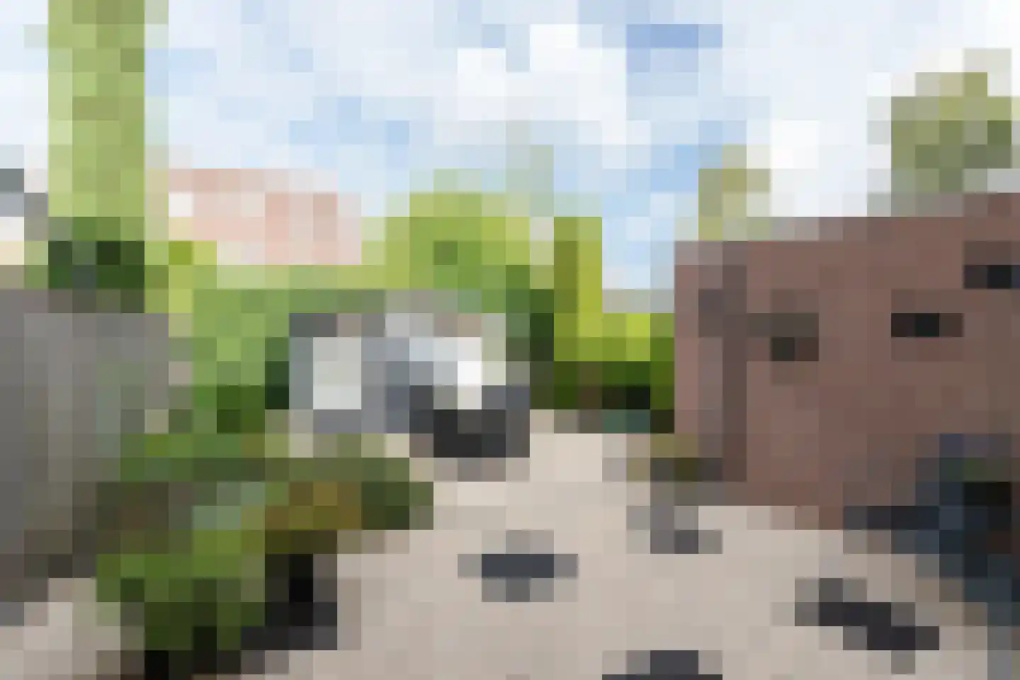 Lijsterbeshof 83 Papendrecht thumbnail 28