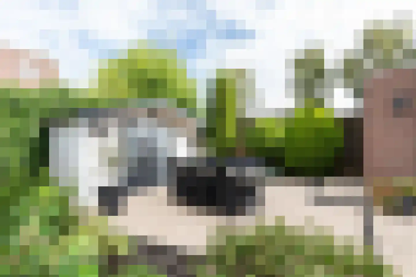 Lijsterbeshof 83 Papendrecht thumbnail 5