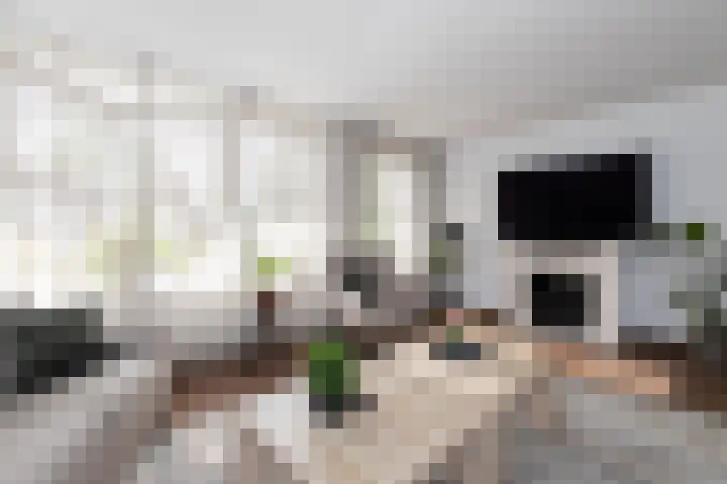 Lijsterbeshof 83 Papendrecht thumbnail 8