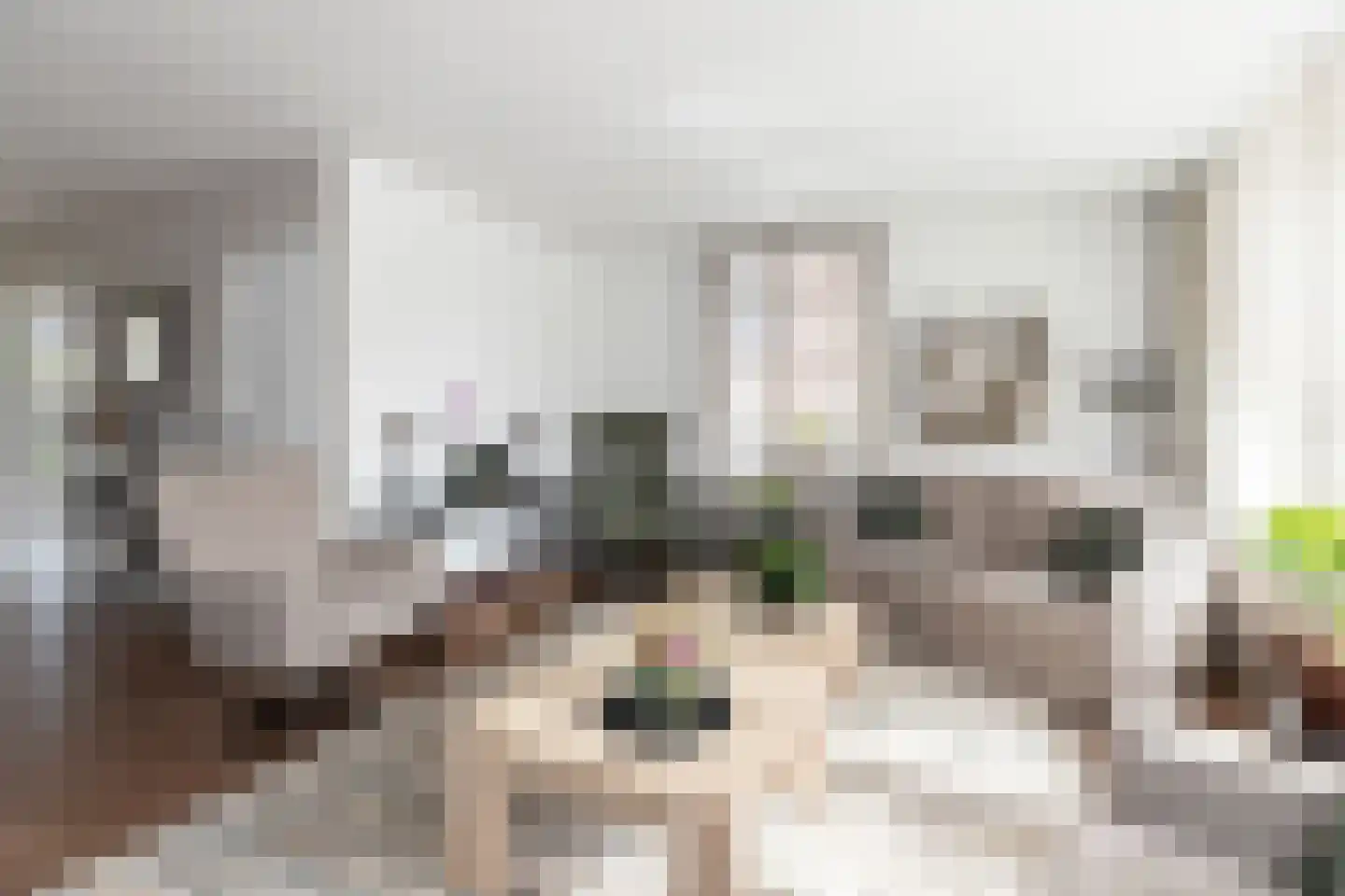 Lijsterbeshof 83 Papendrecht thumbnail 9