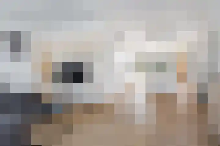 Lijsterbeslaan 1 Heerenveen thumbnail 11