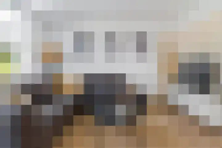 Lijsterbeslaan 1 Heerenveen thumbnail 12