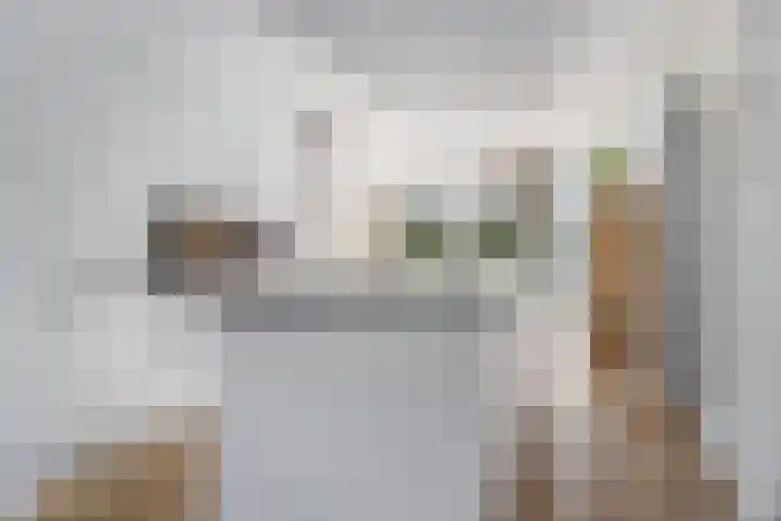 Lijsterbeslaan 1 Heerenveen thumbnail 14