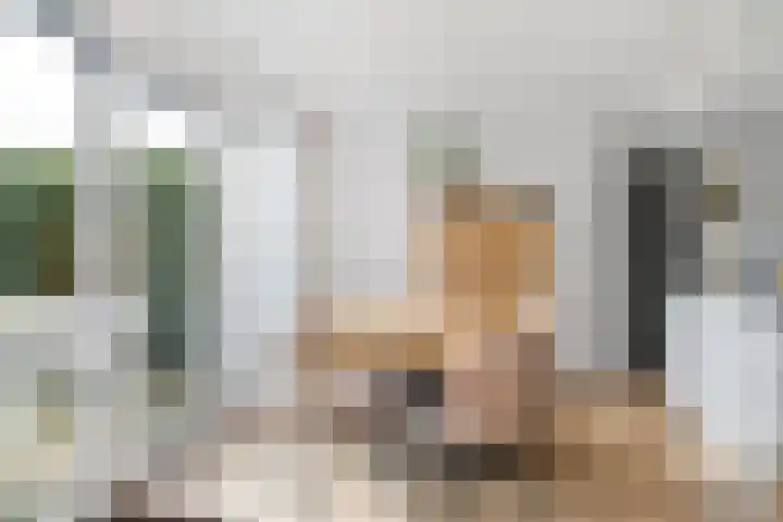 Lijsterbeslaan 1 Heerenveen thumbnail 19