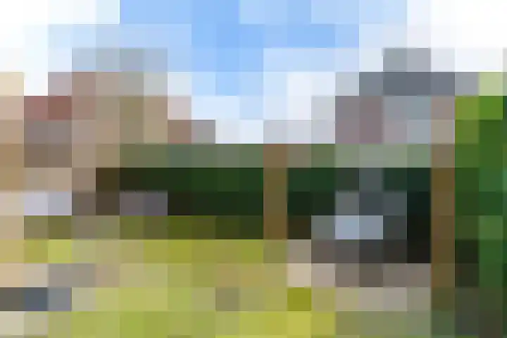 Lijsterbeslaan 1 Heerenveen thumbnail 21
