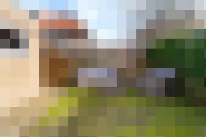 Lijsterbeslaan 1 Heerenveen thumbnail 23