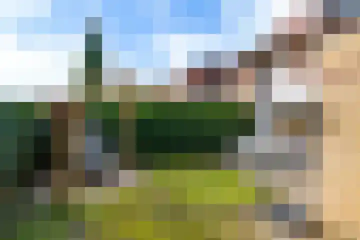 Lijsterbeslaan 1 Heerenveen thumbnail 24