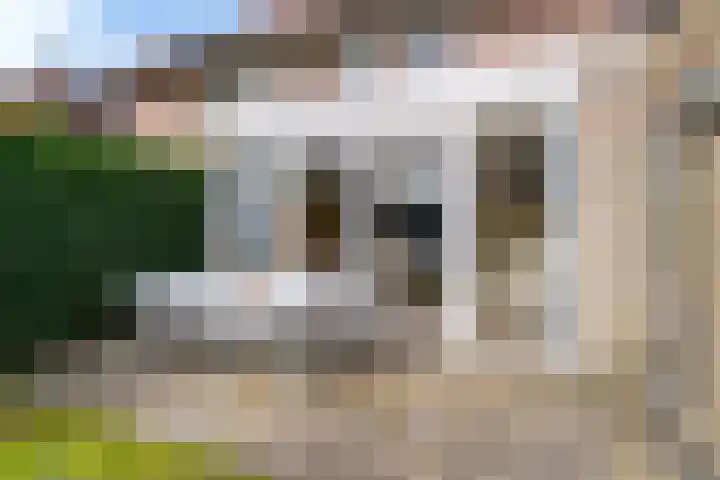 Lijsterbeslaan 1 Heerenveen thumbnail 25