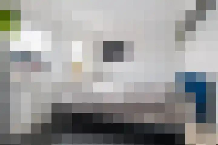 Lijsterbeslaan 1 Heerenveen thumbnail 27