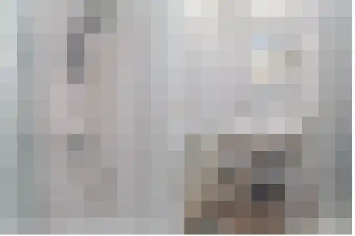 Lijsterbeslaan 1 Heerenveen thumbnail 34