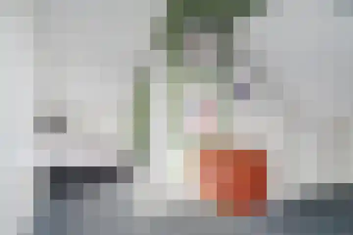 Lijsterbeslaan 1 Heerenveen thumbnail 35