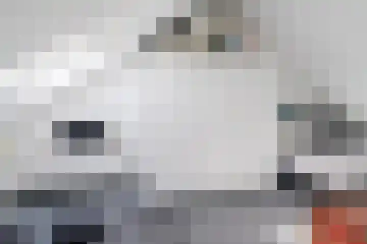 Lijsterbeslaan 1 Heerenveen thumbnail 37