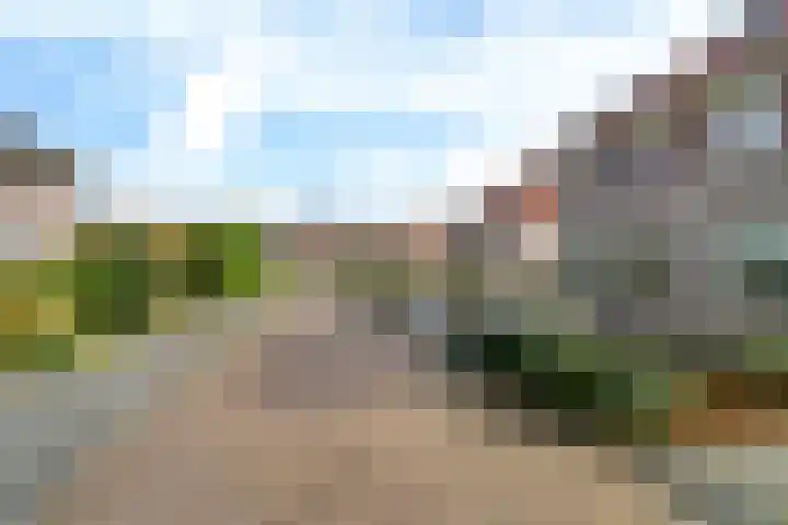 Lijsterbeslaan 1 Heerenveen thumbnail 4