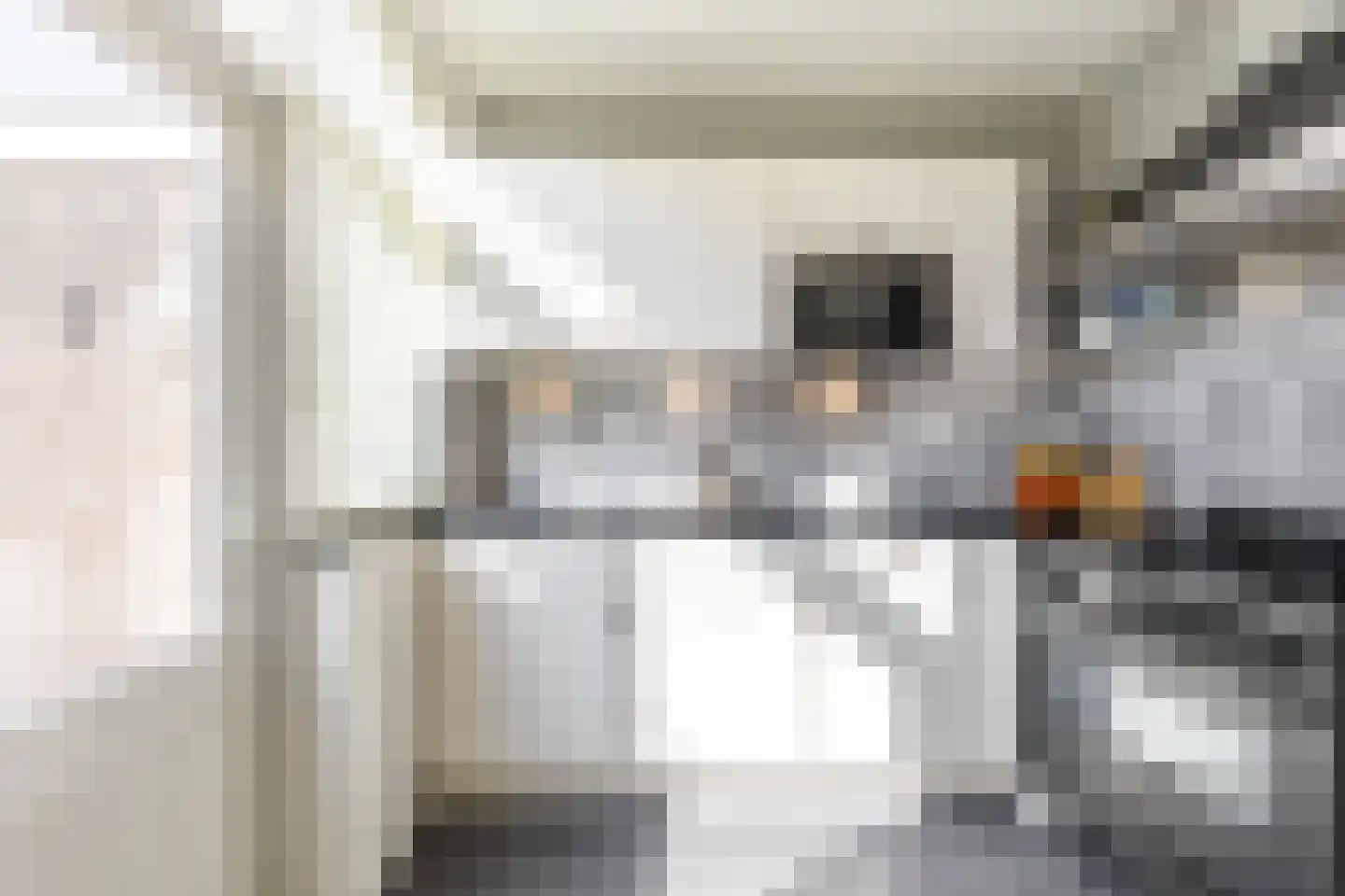 Lijsterbeslaan 10 Ameide thumbnail 14