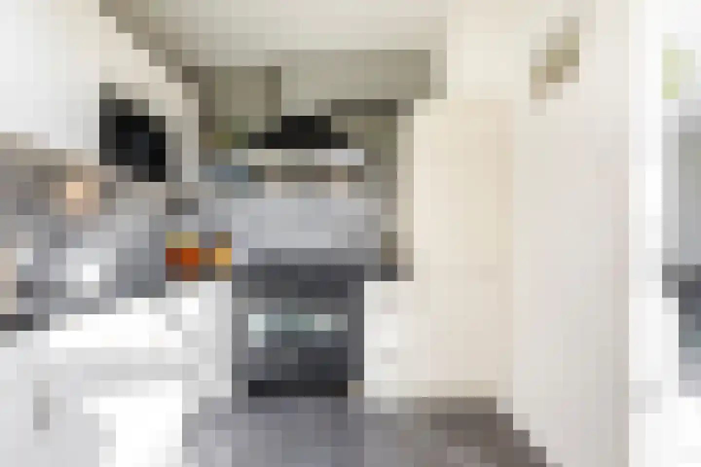 Lijsterbeslaan 10 Ameide thumbnail 15