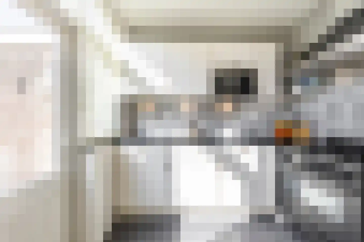 Lijsterbeslaan 10 Ameide thumbnail 15